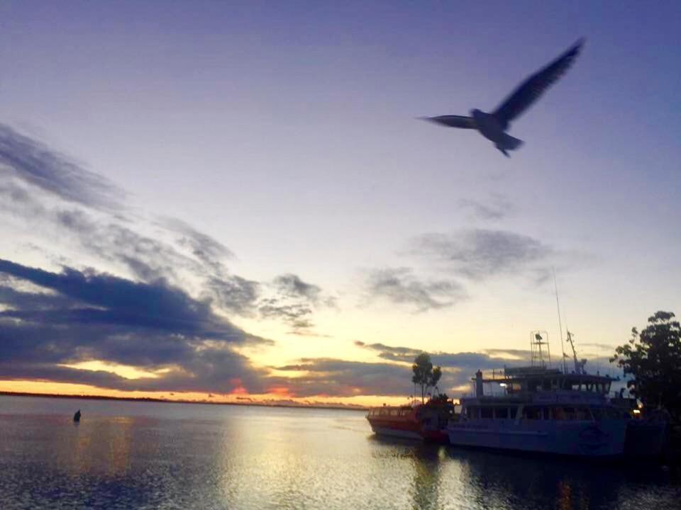 Huskisson Beach Escape Kültér fotó